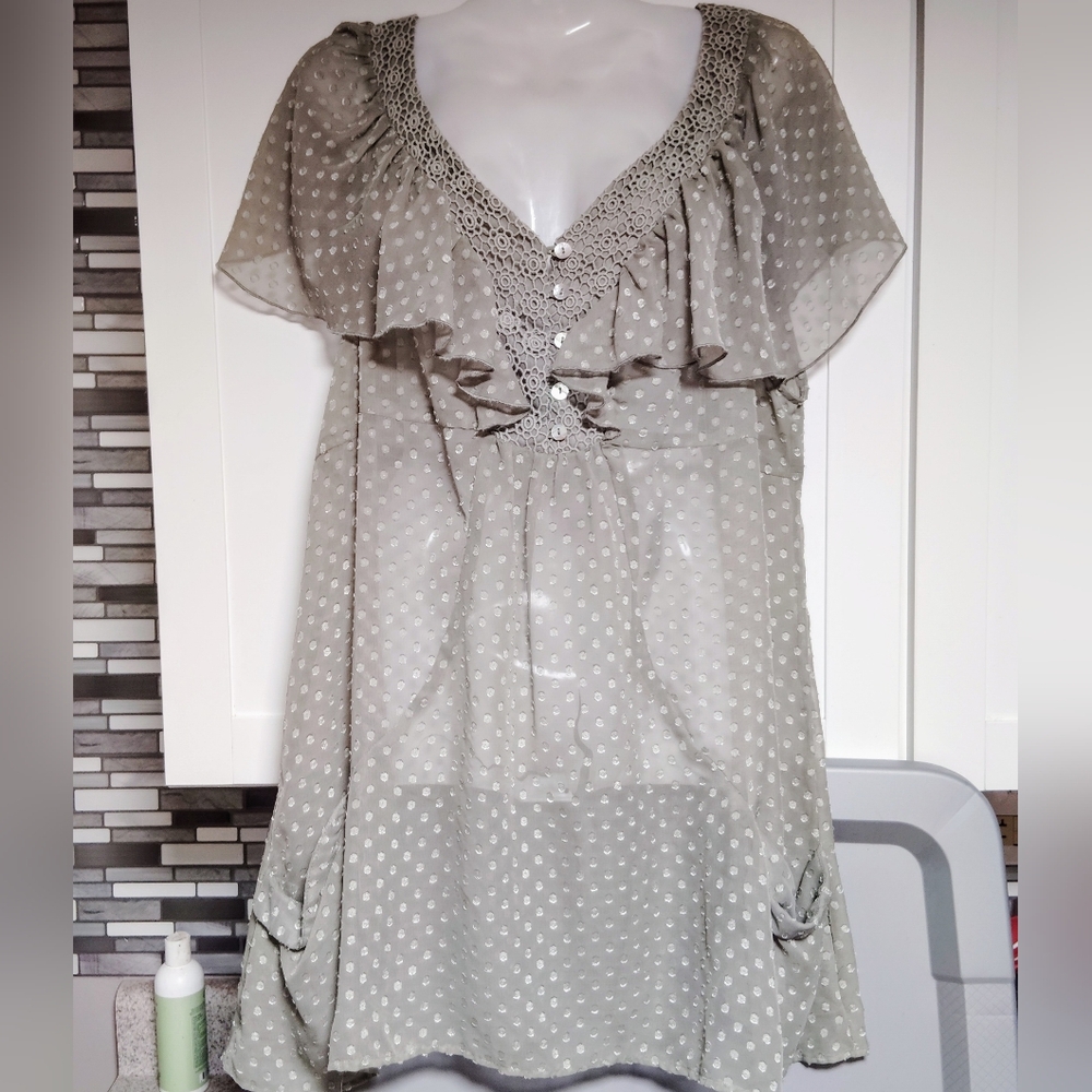 Daniel Rainn Sheer Blouse/Tunic Sz-XL